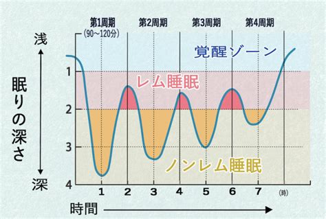 睡眠中|【分かりやすく解説】睡眠とは何か【役割や種類も知。